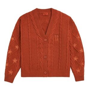 Taylor Swift Rust Cardigan